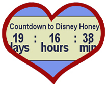 Countdown to Disney Honeymoon